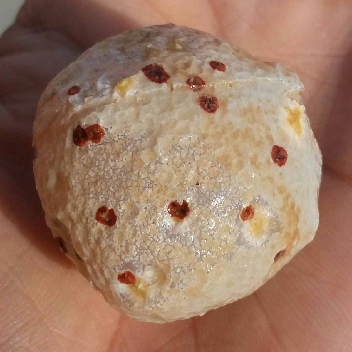 سنگ راف خام عقیق توپی برش نخورده طرح دار  100 در 100 طبیعی سرشار از خواص با قابلیت ساخت چند نگین خاص کد 6705