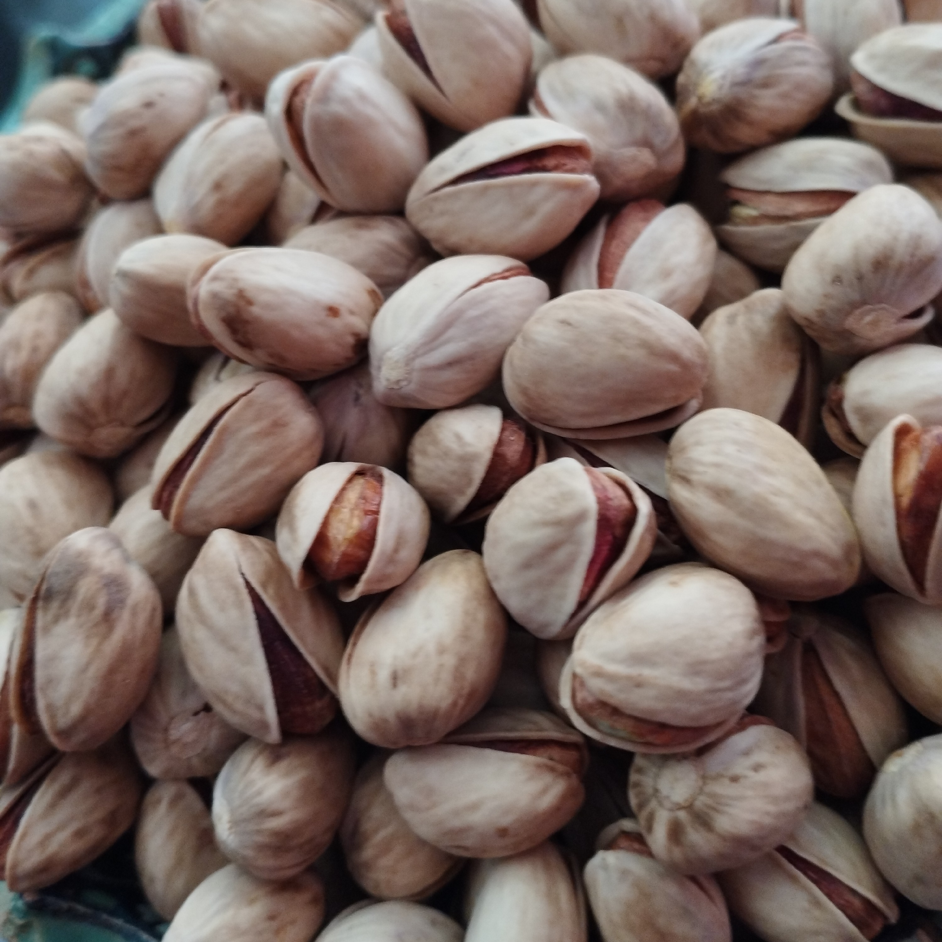 پسته فندقی خندان دستچین شده