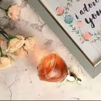 پرفیوم زنانه ولار