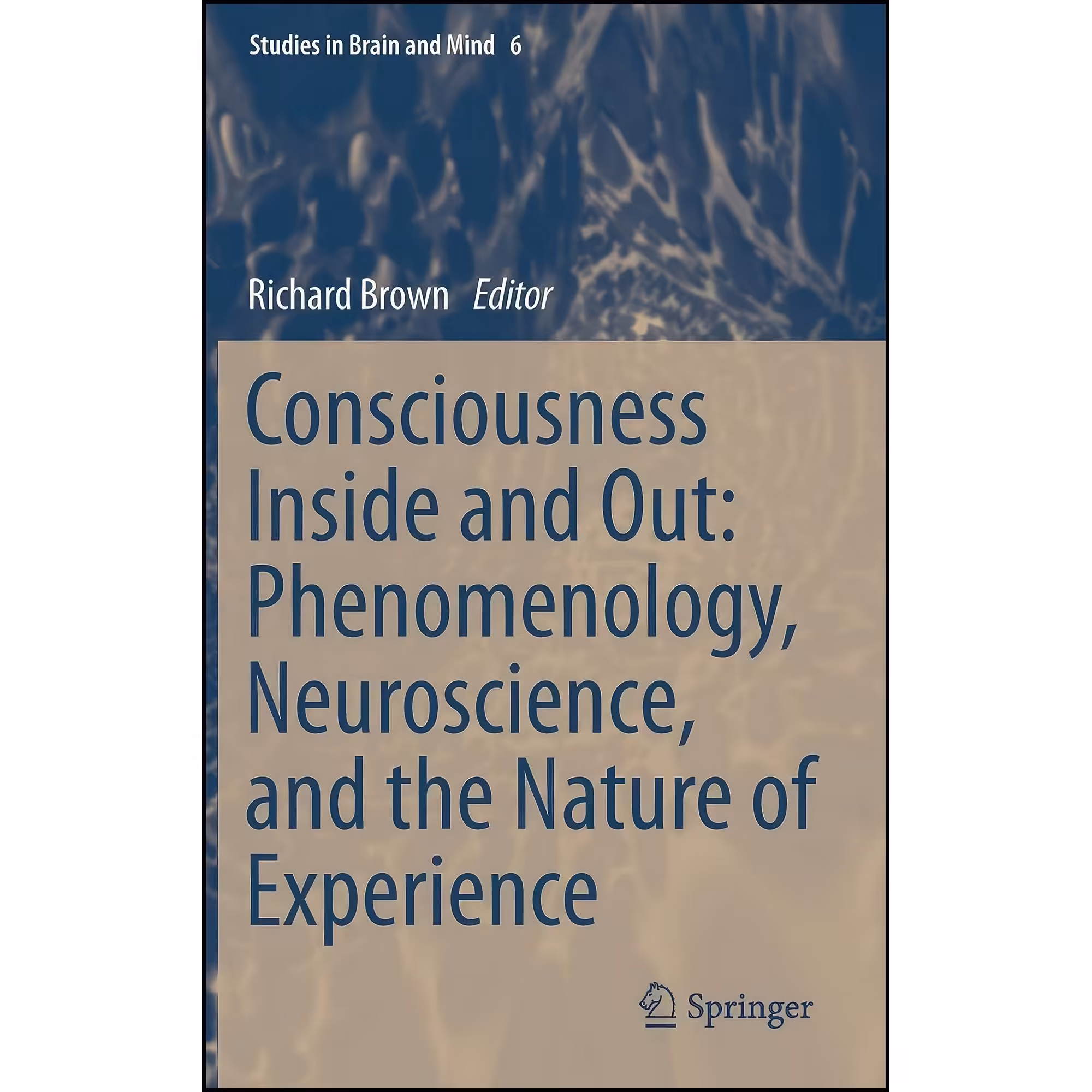 کتاب زبان اصلی Consciousness Inside and Out اثر Richard Brown انتشارات Springer
