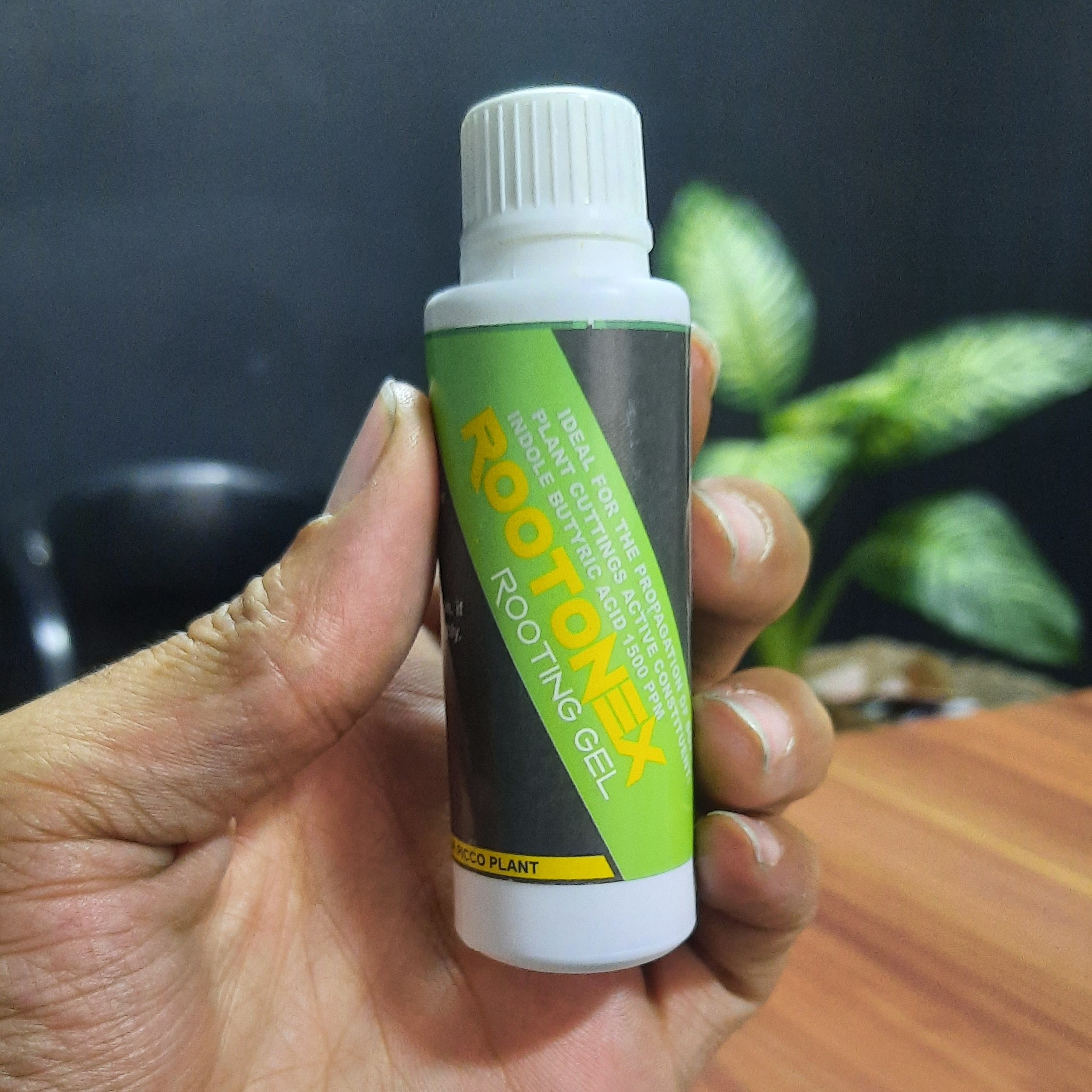 هورمون ریشه زایی با کیفیت عالی ویژه قلمه کردن سریع و با کیفیت قلمه های گل و گیاهان آپارتمانی شما عزیزان
