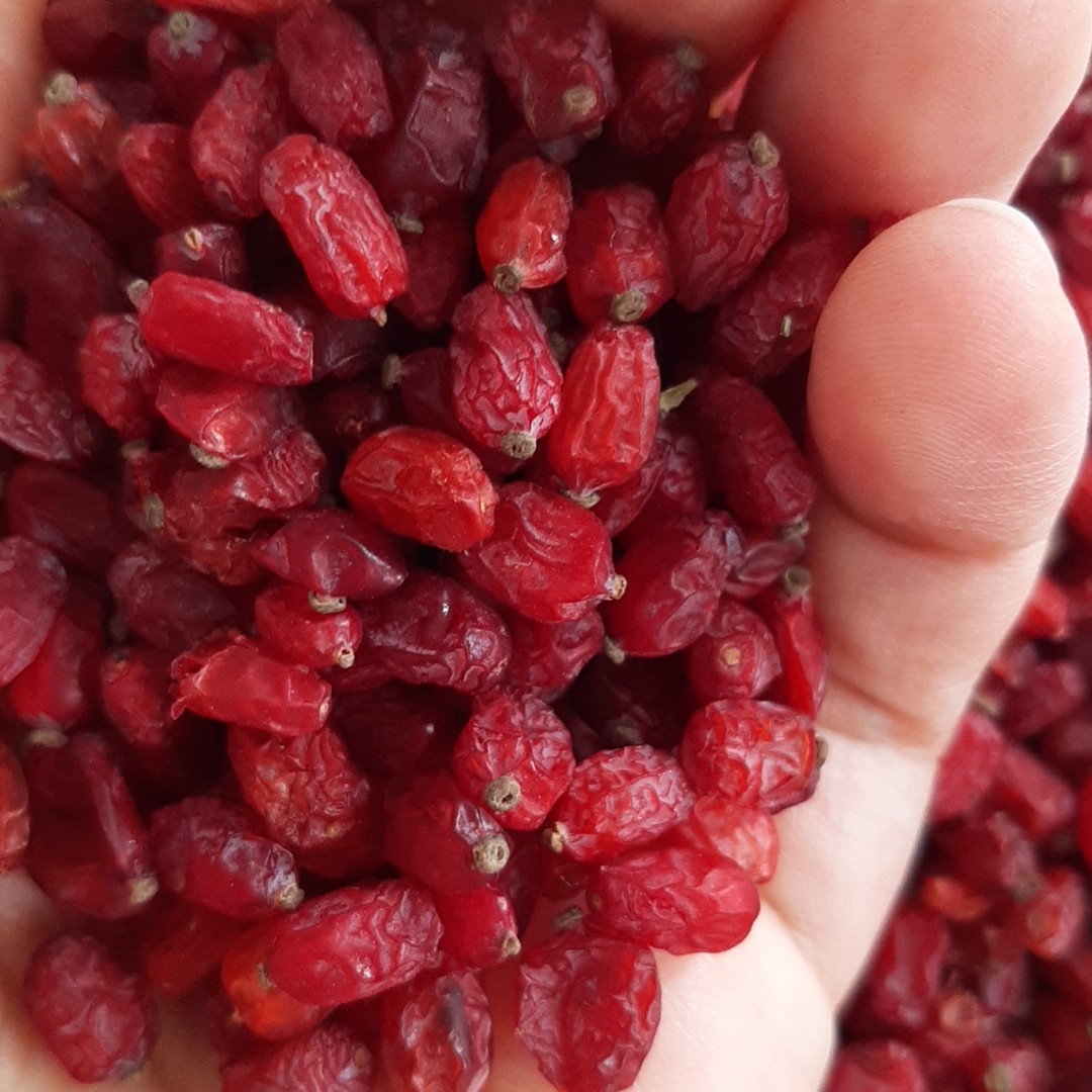 زرشک پفکی درجه یک  نیم کیلویی  از  مزارع خراسان رضوی