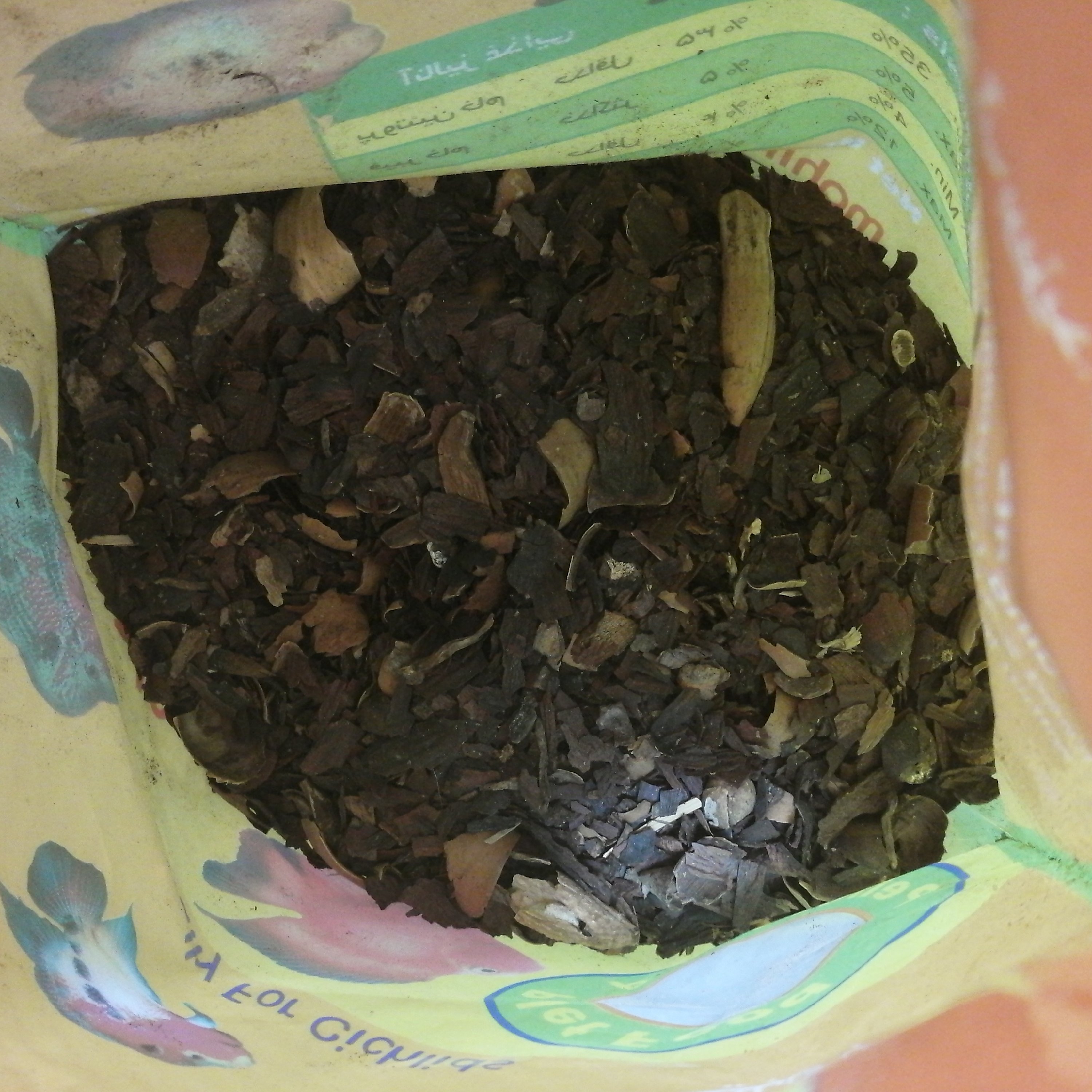جفت بلوط یک سیر