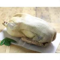 گوشت غاز ارگانیک