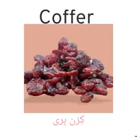 میوه خشک کرن بری 500 گرم-کوفر