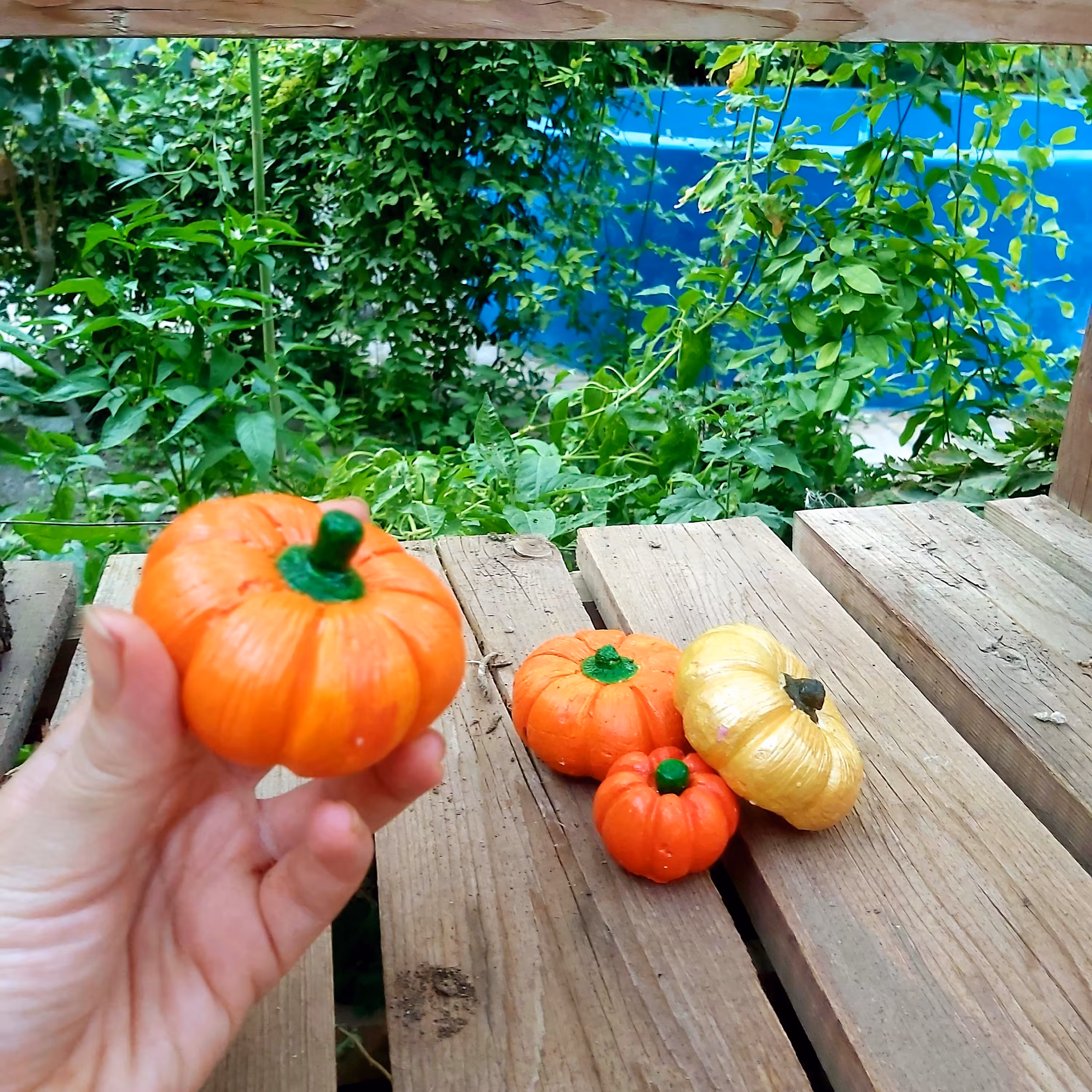 کدو تزیینی  پودر سنگ 