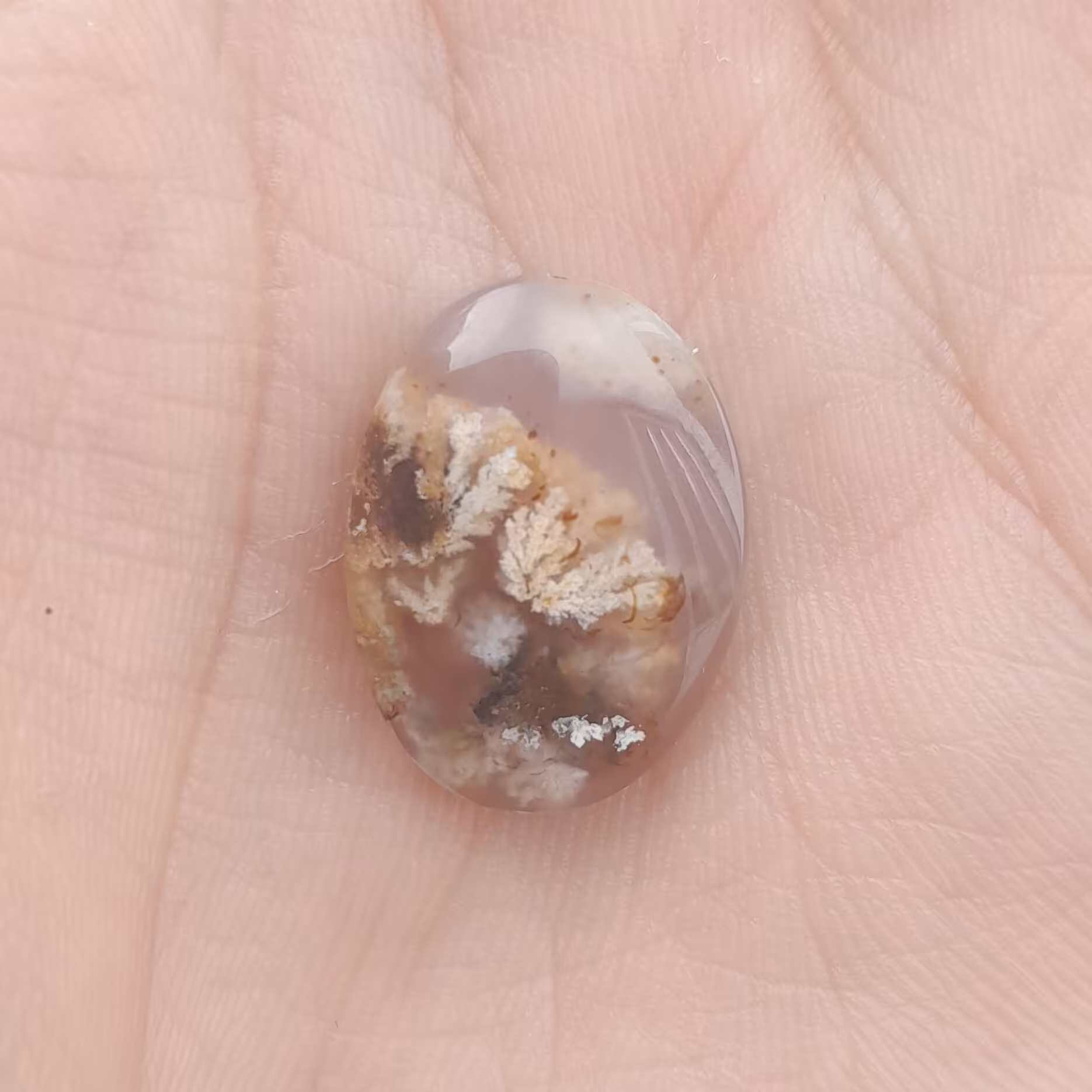 نگین عقیق شجر کد 117