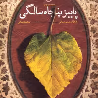 پاییز پنجاه سالگی: خاطرات مریم جمالی همسر سردار شهید مدافع حرم محمد جمالی