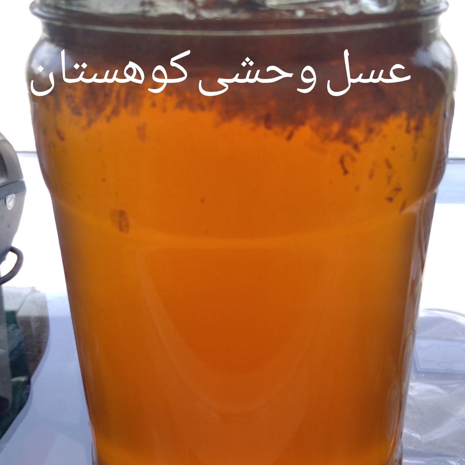 عسل وحشی کوهستان