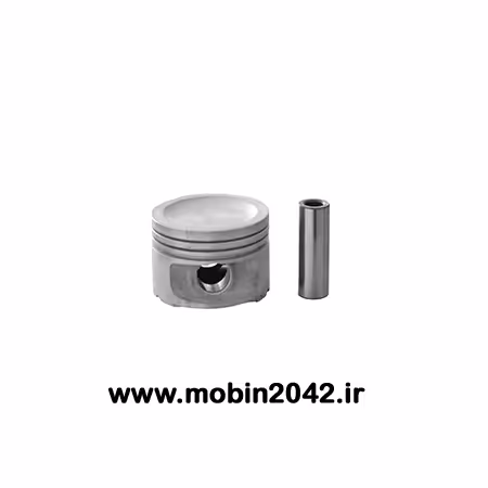 پیستون پژو 405