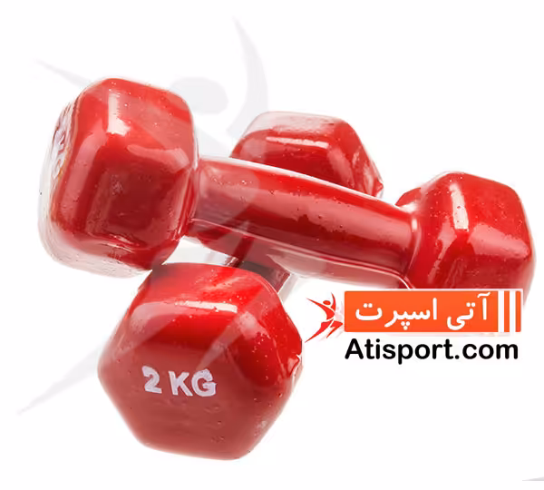 دمبل ایروبیک رکورد 2 کیلوگرم یک جفت