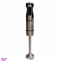 گوشتکوب برقی دلمونتی مدل dl 120