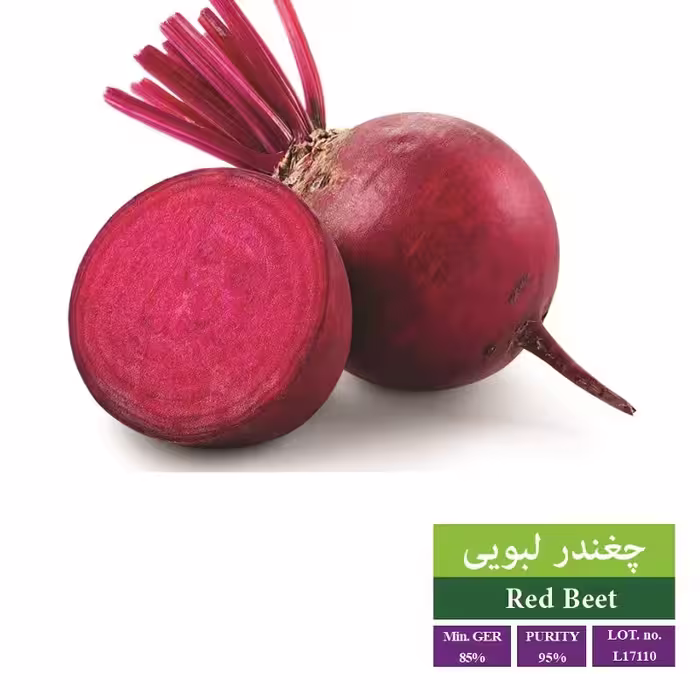 بذر چغندر لبویی