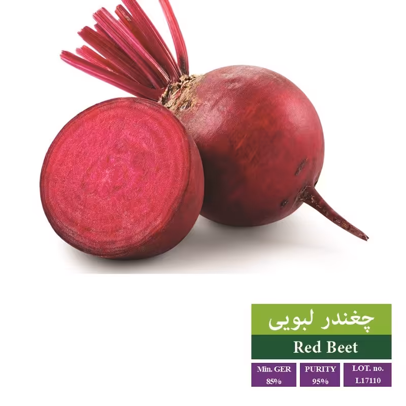 بذر چغندر لبویی