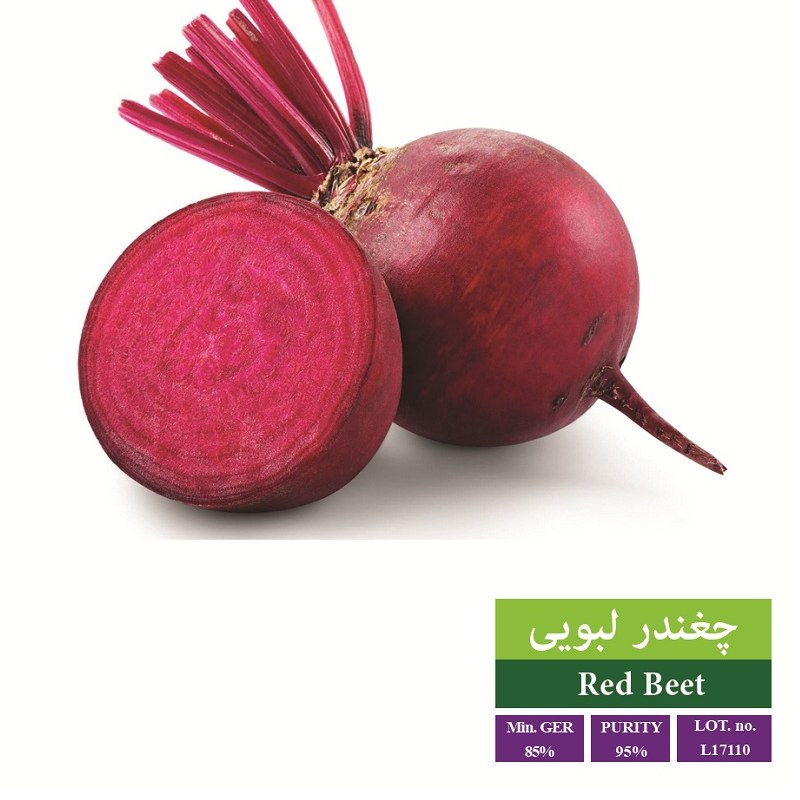 بذر چغندر لبویی