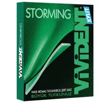 آدامس ویویدنت نعنا بدون شکر 33 گرم Vivident Stormingترکیه