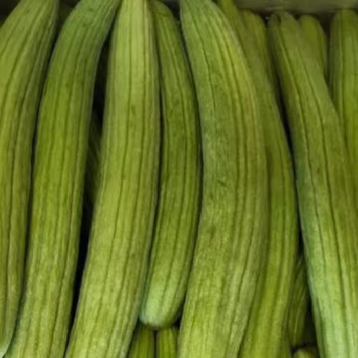 بذر چمبر خیار(50عددی)قیمت تنظیم بازاری،قیمت باسلام زاوه 