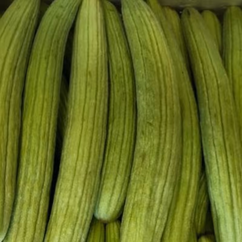 بذر چمبر خیار(50عددی)قیمت تنظیم بازاری،قیمت باسلام زاوه 