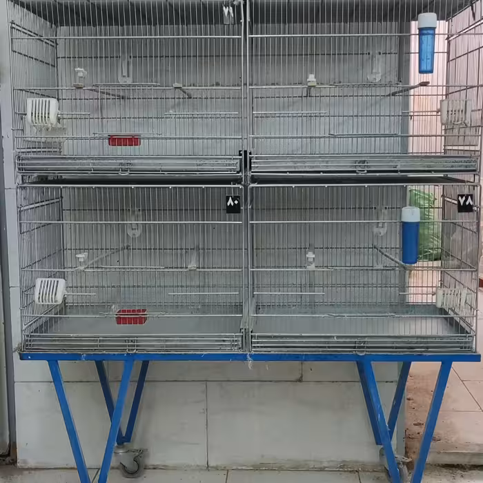 قفس شش خوان اردشیر