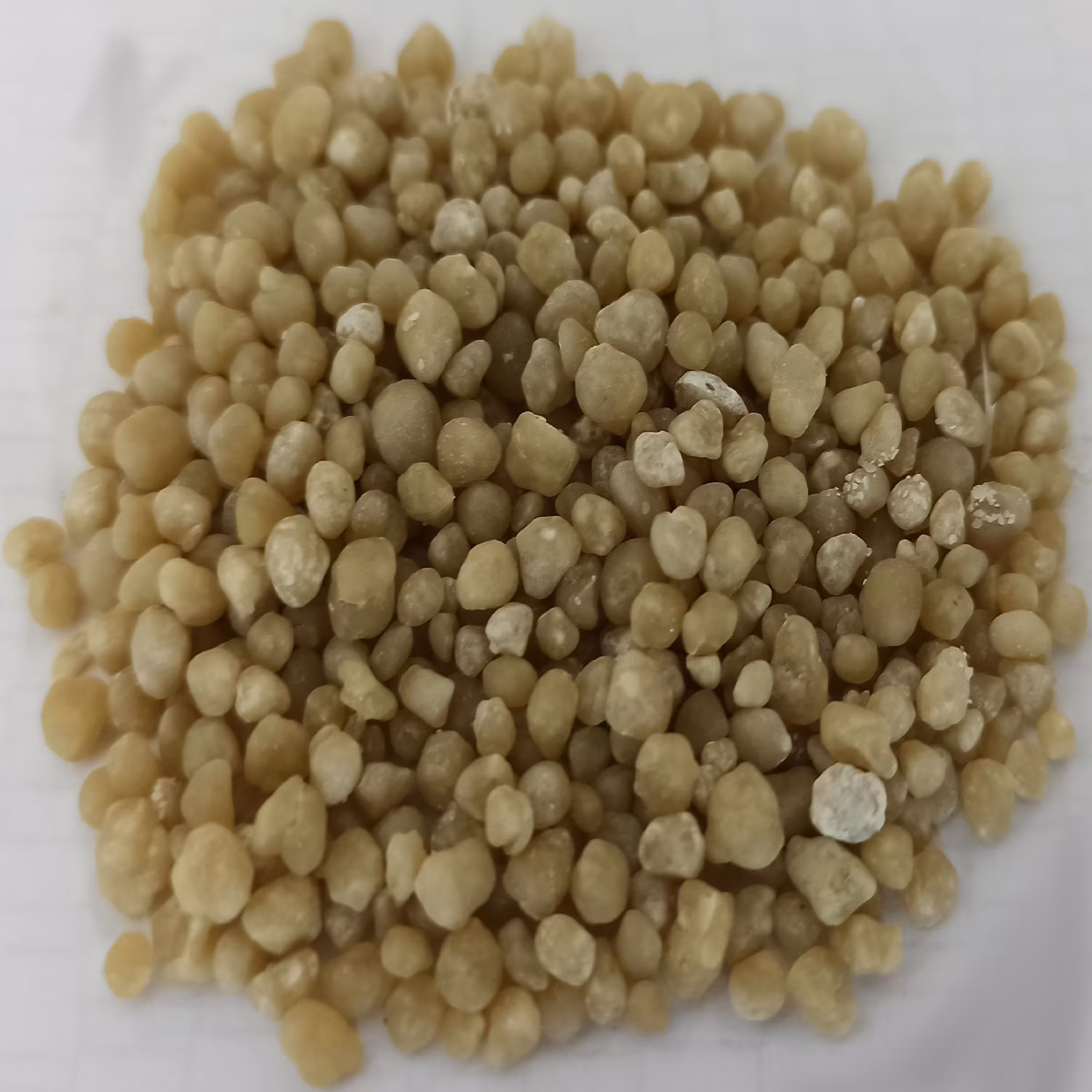 کود دی امونیوم فسفات رازی مدل gr01 وزن 20 کیلوگرم