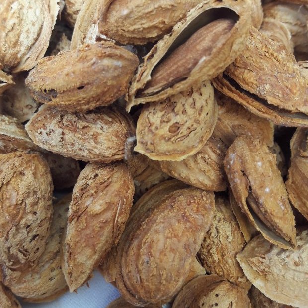 بادام پوست کاغذی