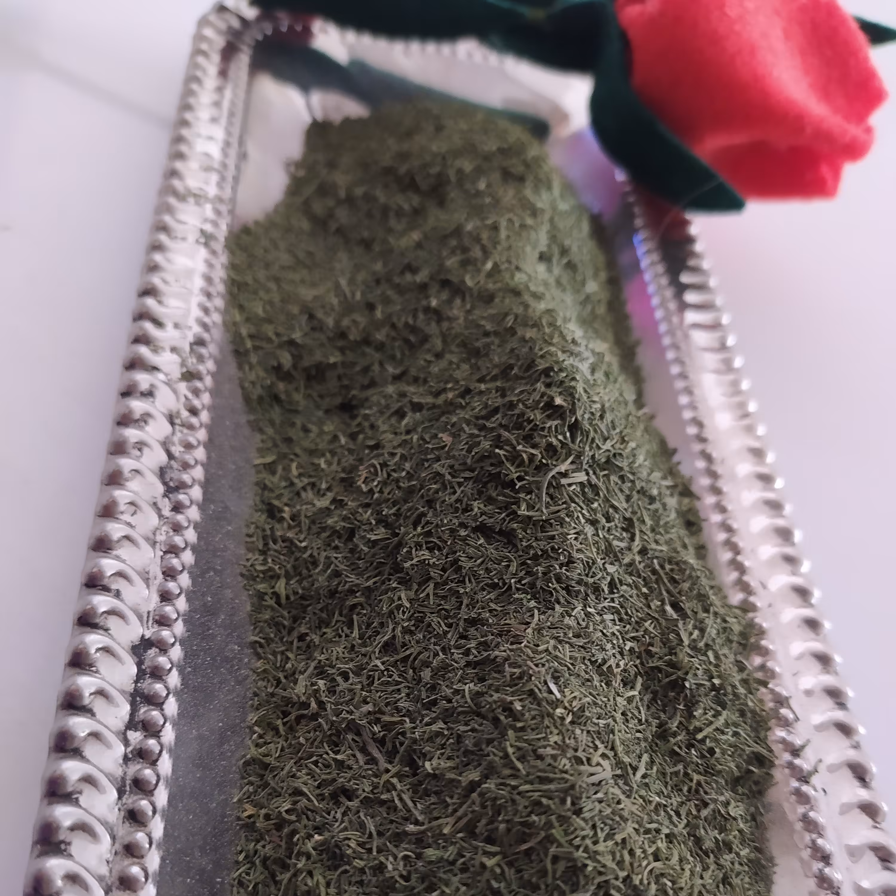 شوید خوش طعم و عطر نیشابور