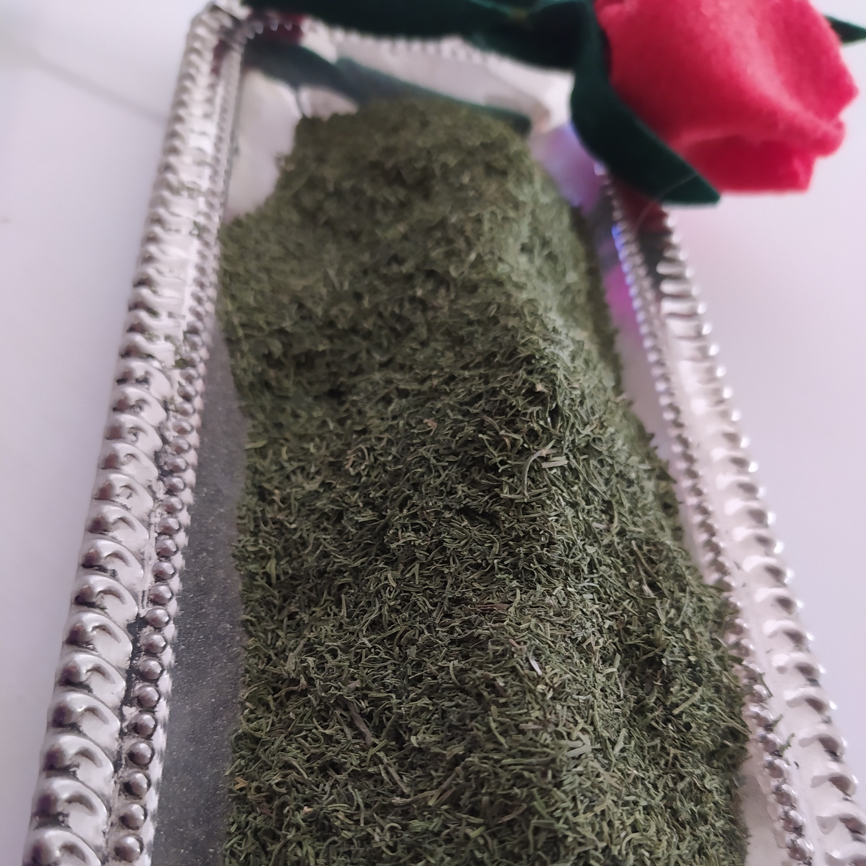 شوید خوش طعم و عطر نیشابور