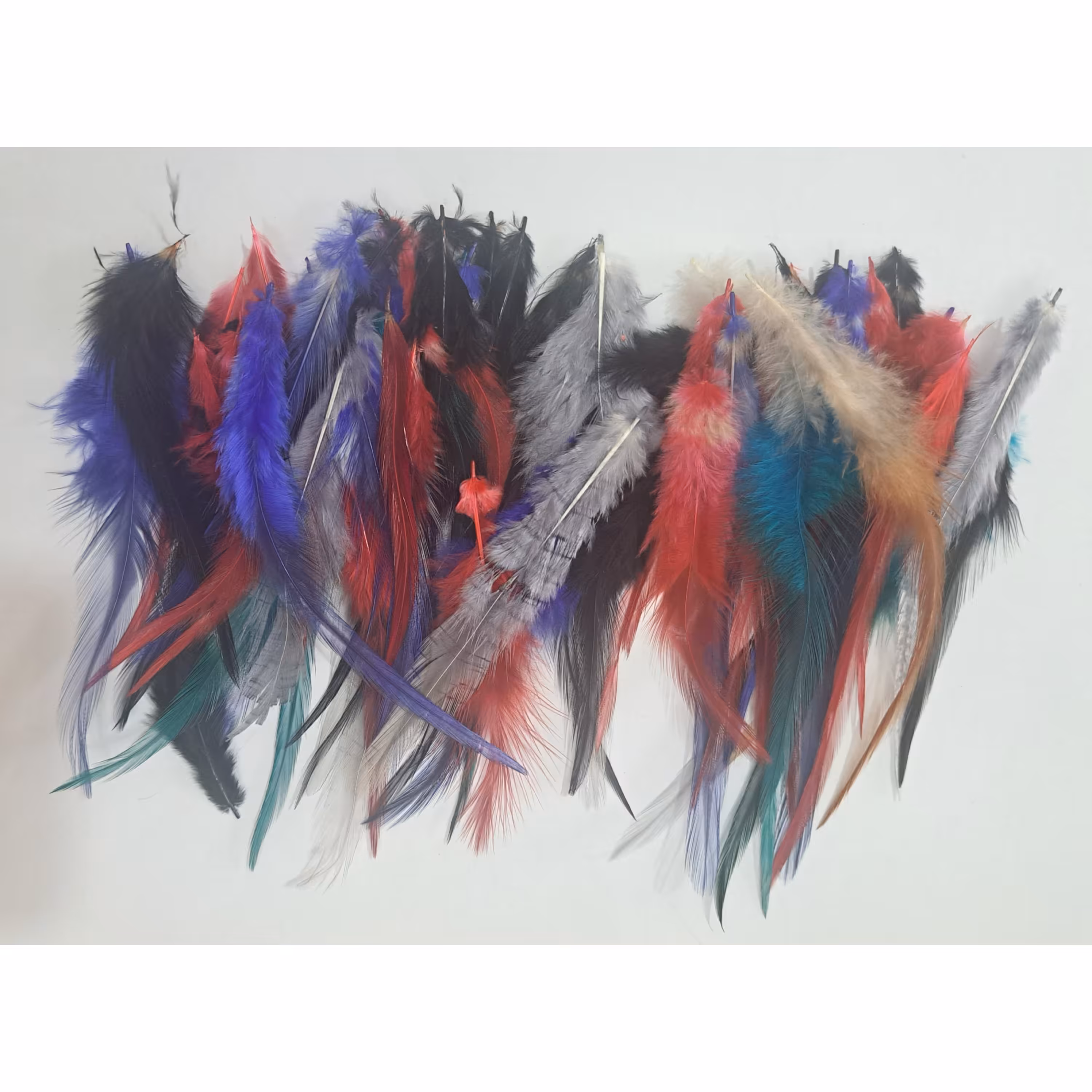 پر دریم کچر دونه ای در رنگهای خوشگل