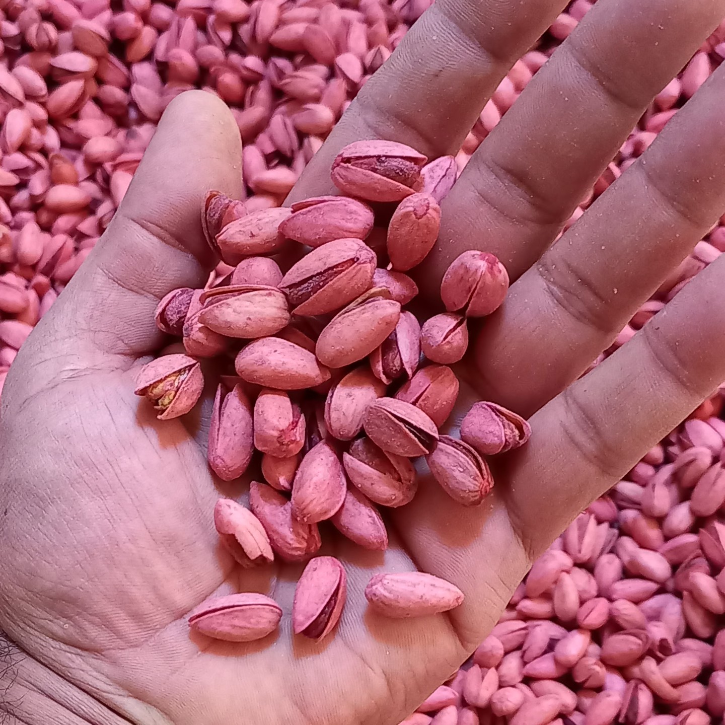  پسته شور اناری