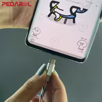 کابل شارژ میکرو پدارول مدل P3