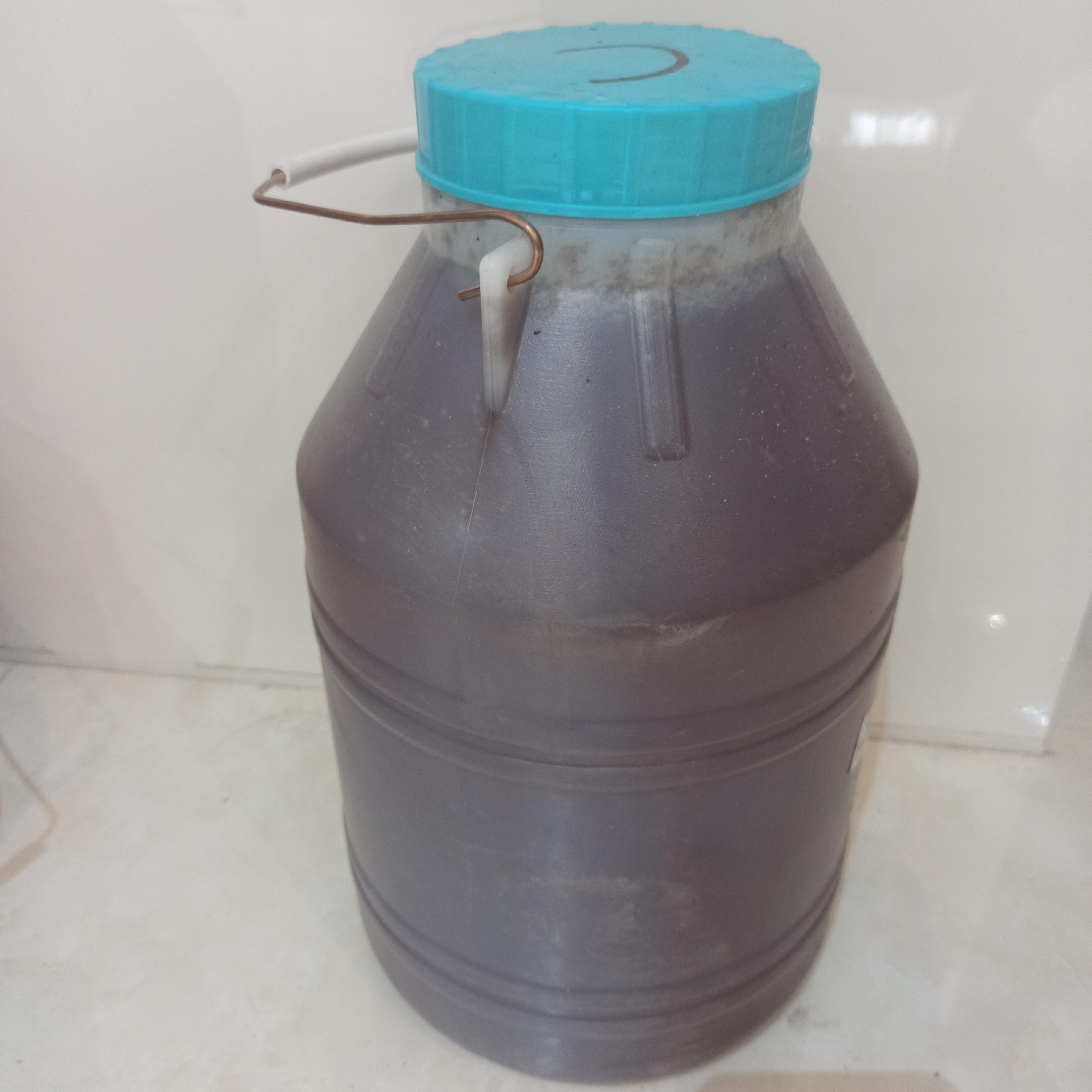 عسل طبیعی شوید 7 کیلویی با ساکارز کمتر از 2 تابستان1402