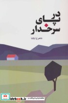 قیمت و خرید کتاب در پای سرخدار اثر شاهرخ ایلکا | ایده بوک