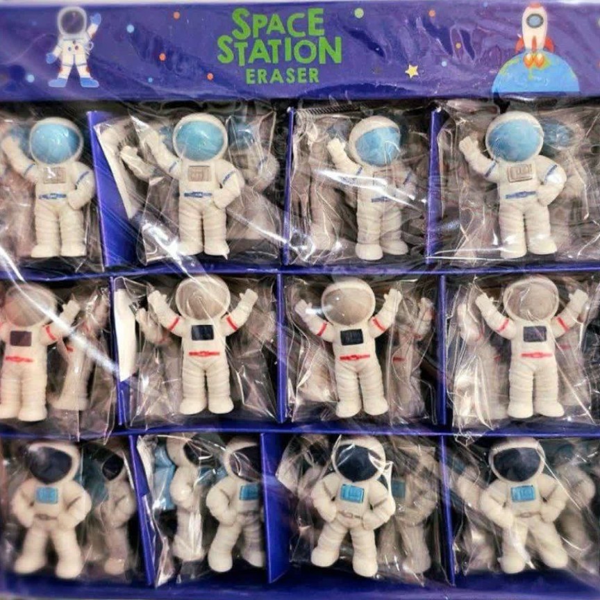 پاکن فضانورد