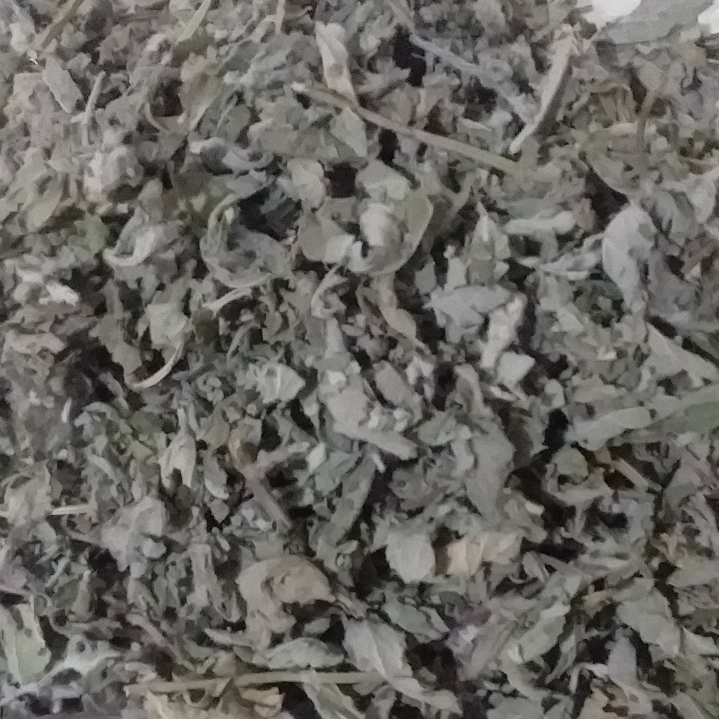 پونه وحشی و کوهی