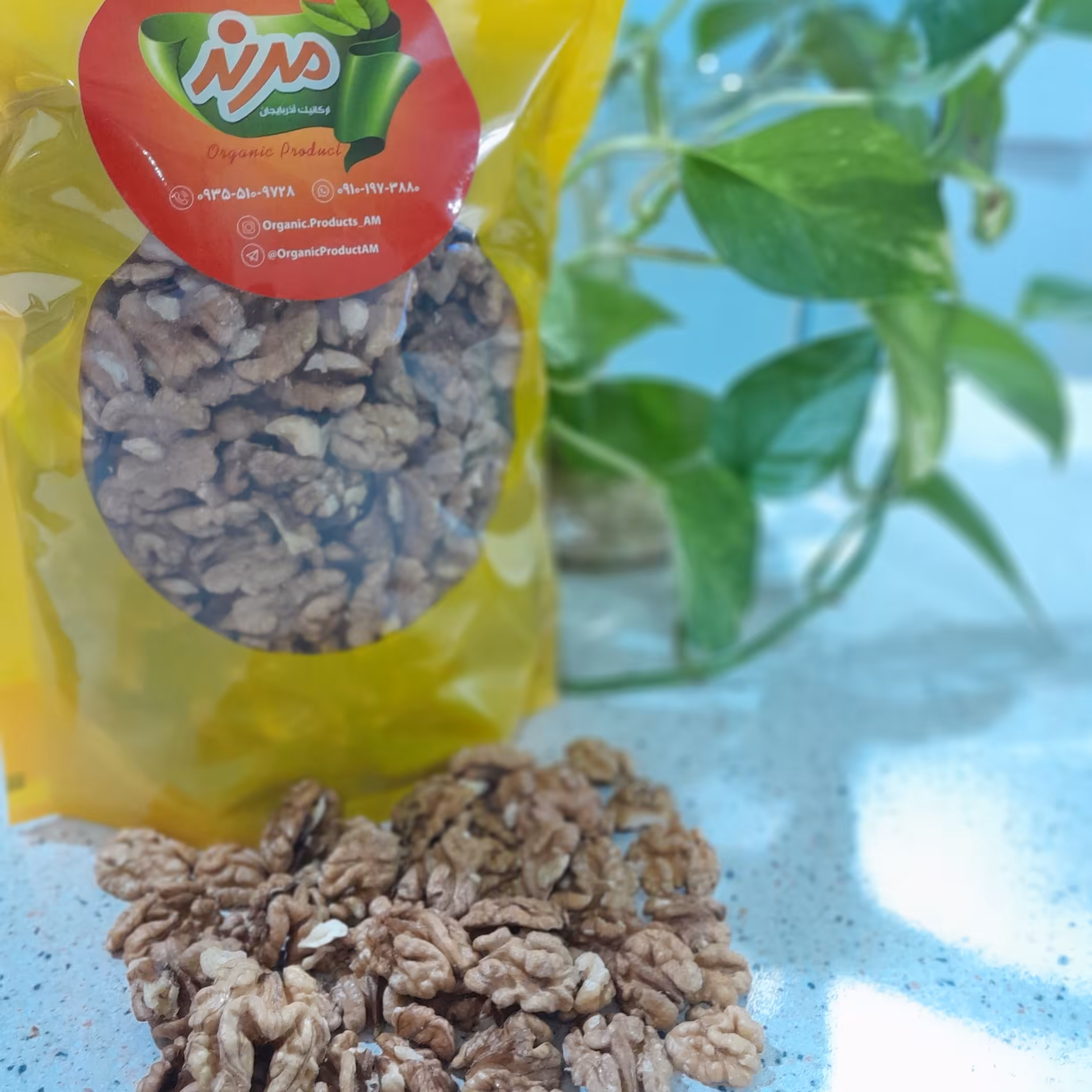 مغزگردو 1کیلویی آذربایجان مرند