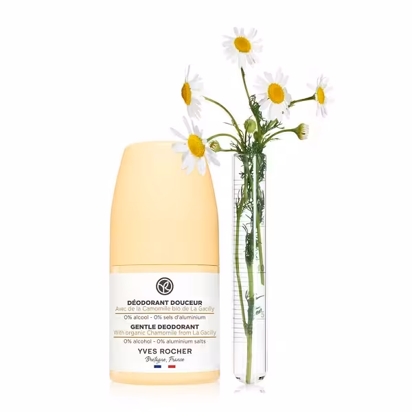 دئودورانت گیاه بابونه ایوروشه 50 میل | فروشگاه ارس ترک