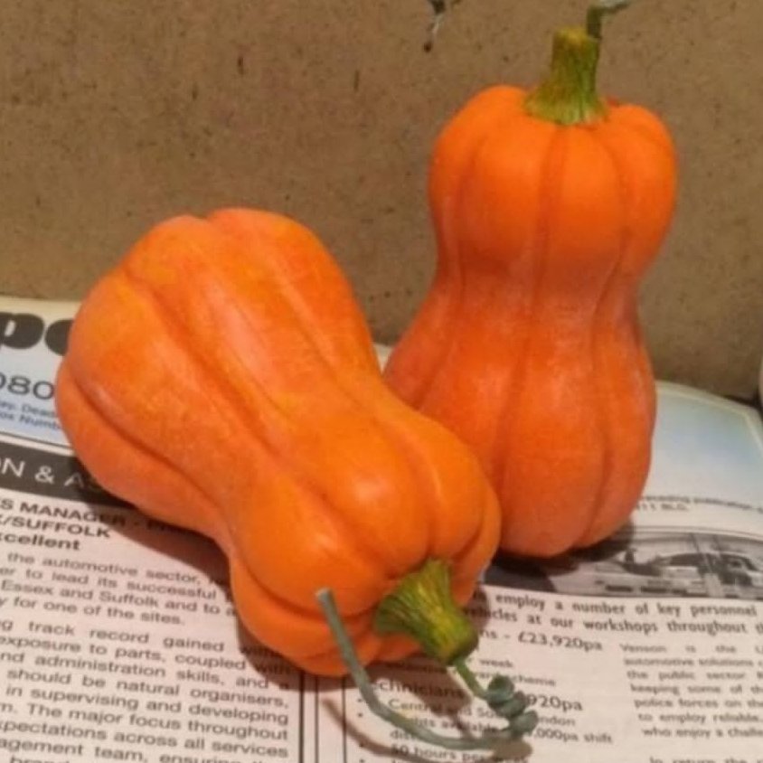 شمع کدو تنبل بلند، زیبا و شکیل در رنگهای زرد و قرمز و نارنجی، متناسب با فصل پاییز برای دکور منزل