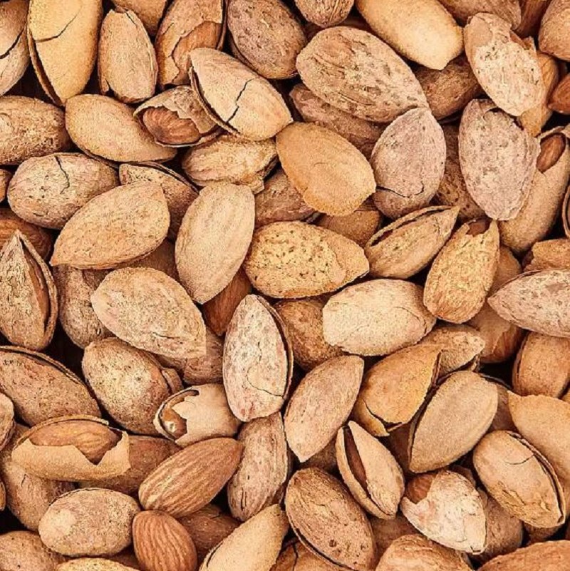 بادام  درختی پوست کاغذی( شور-بی نمک)
