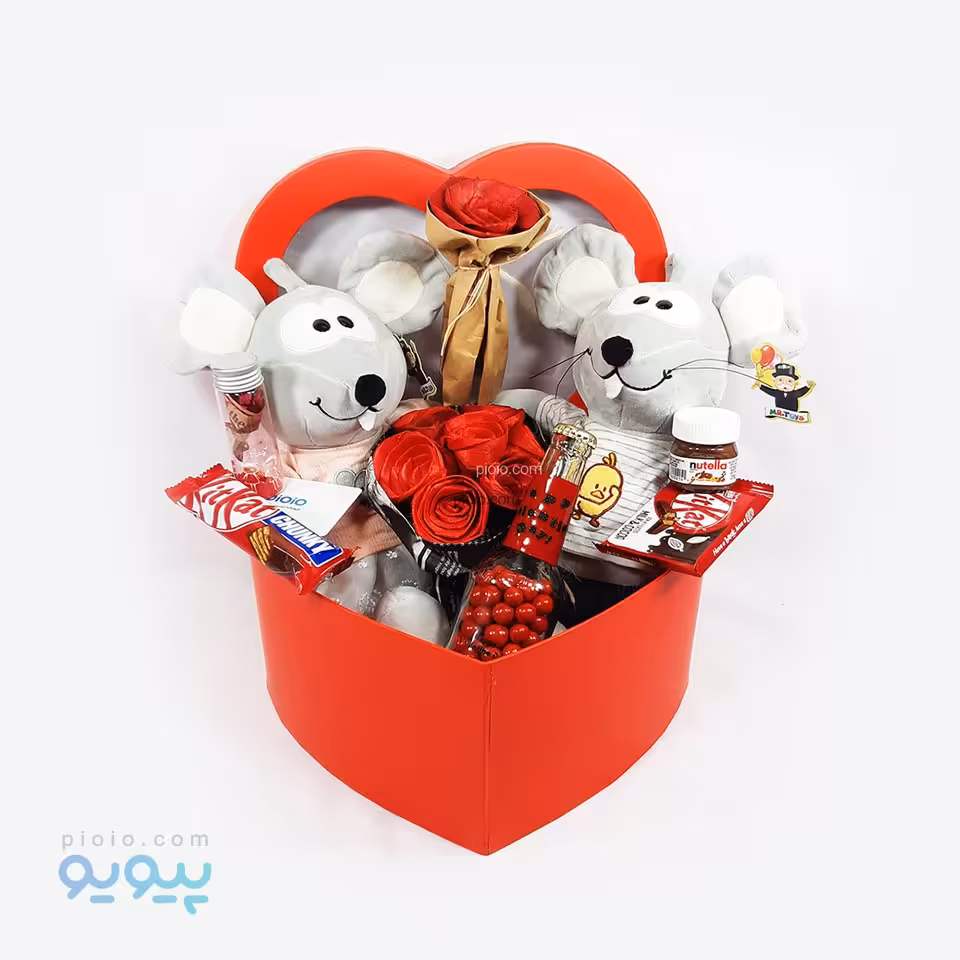 باکس کادوی آماده ولنتاین با عروسک موش صحرایی خانم و آقا جعبه قلبی