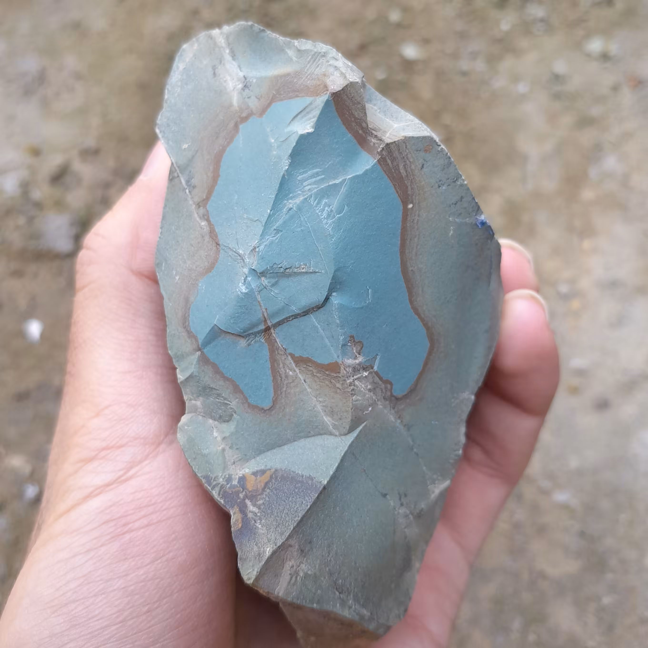 جاسپر امپریال کد 13