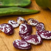 لوبیا عروس(1000گرم)