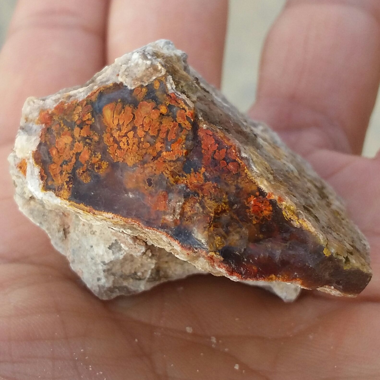 سنگ راف حبه شده عقیق شجر  دریایی 7رنگ  شاهکار خلقت محشر 100 در صد طبیعی
تابلو نقاشی طبیعی
بی نظییر
