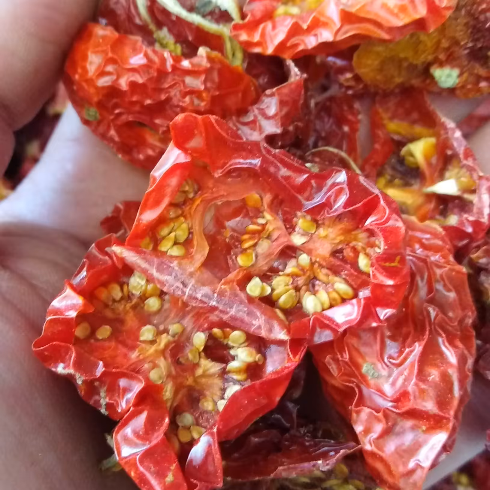 برگه گوجه فرنگی اعلا یک کیلویی فوق العاده خوش رنگ