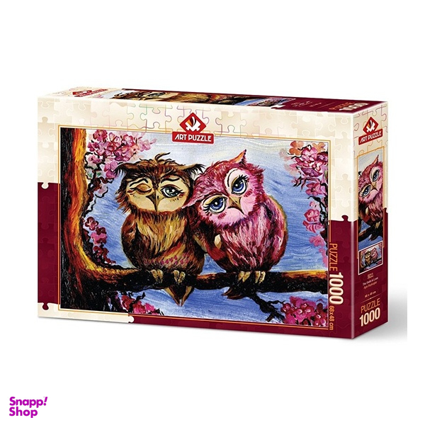 پازل 1000 تكه آرت پازل مدل Puzzle The Owls in Love 5211