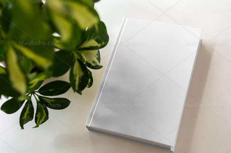 موکاپ لایه باز کتاب | گرافیک با طعم تربچه