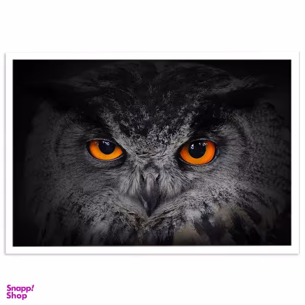 تابلو بکلیت طرح چشم جغد مدل W-s771