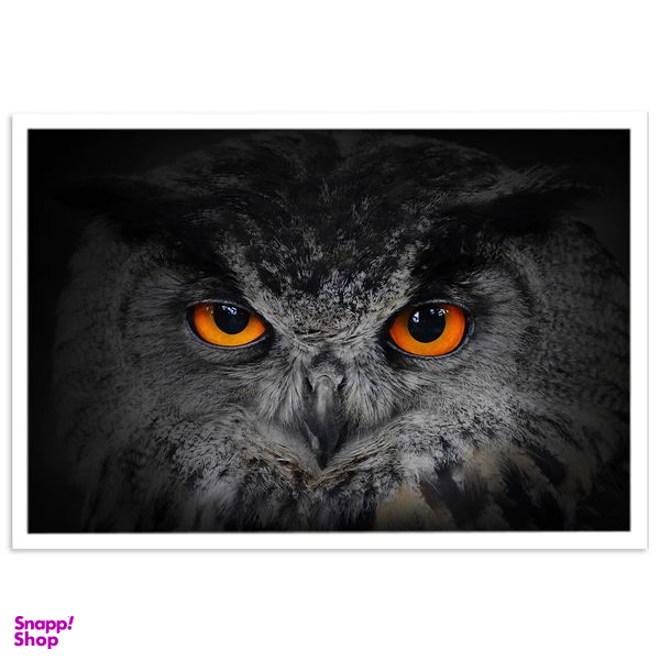 تابلو بکلیت طرح چشم جغد مدل W-s771