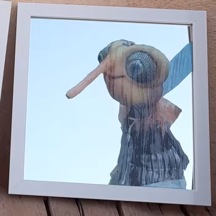 آینه آنتیک طرح(پشه ی سریال مهمونی) با قاب سفید.(چقدر سختی!)