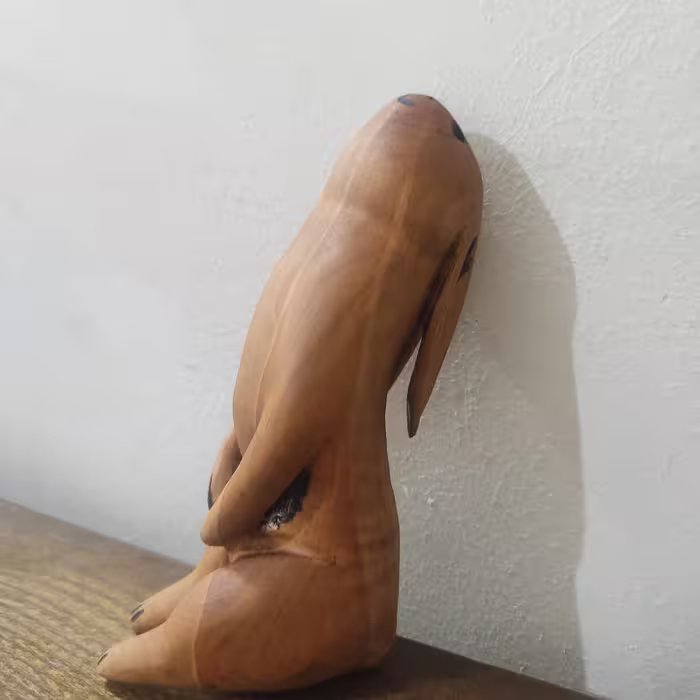 خرگوش 
