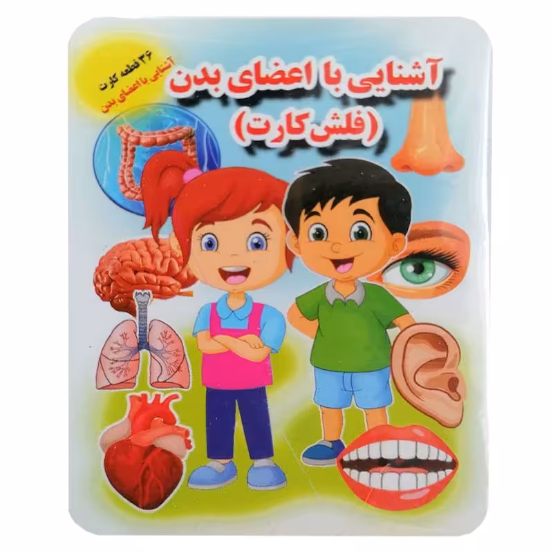 فلش کارت اعضای بدن